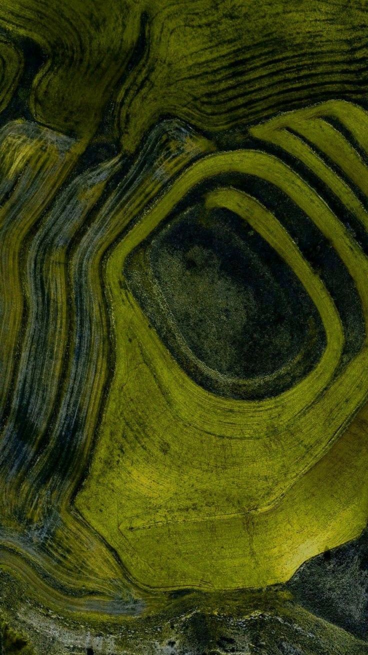 Terraced farmland from above, contour lines like the folds of a cortex